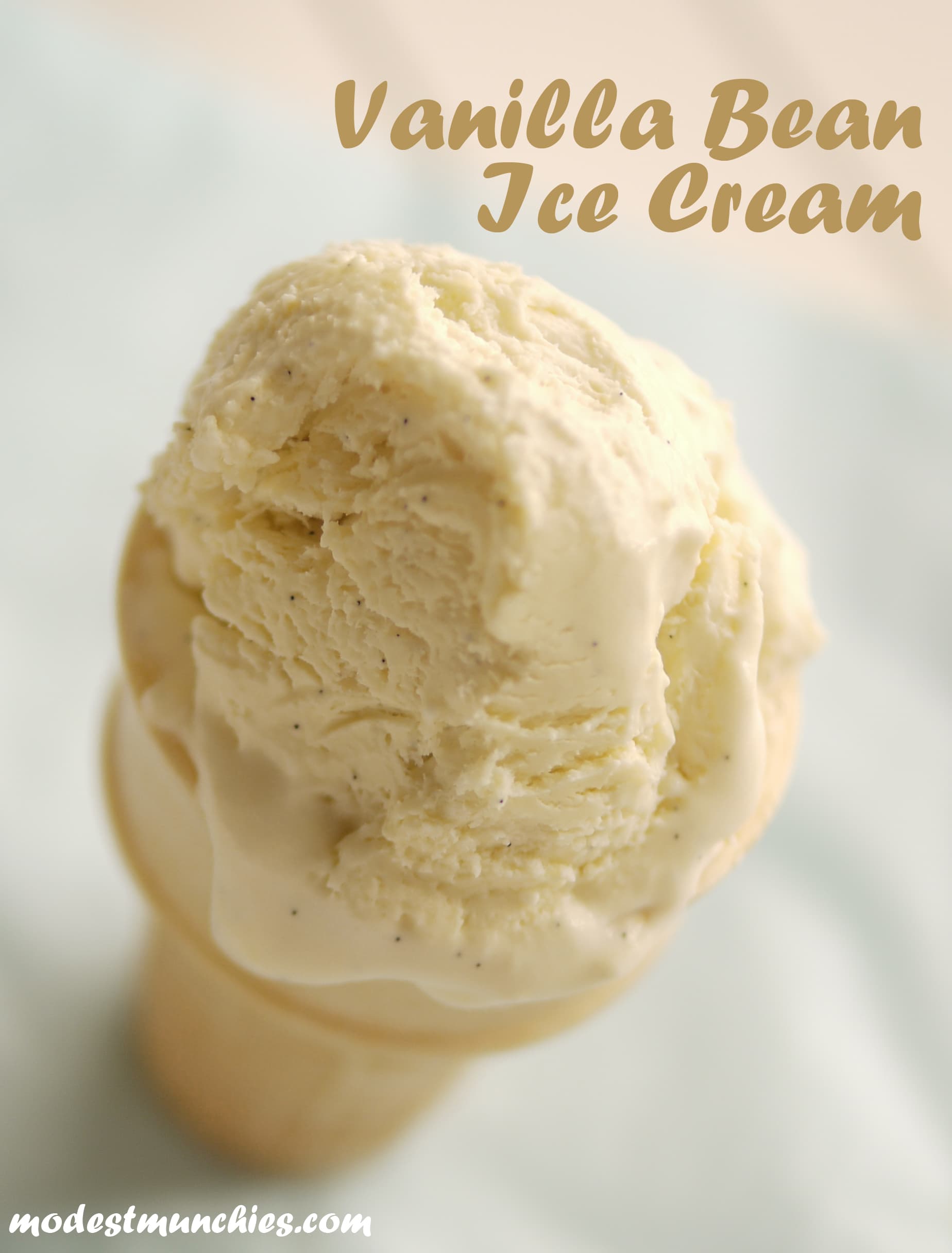 vanilla bean ice cream