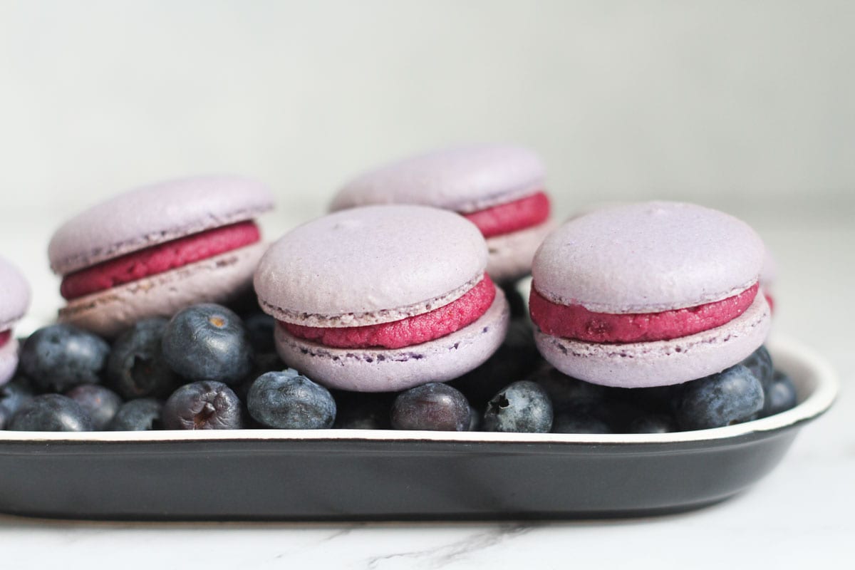 BLueberry macarons on tray of blueberries.