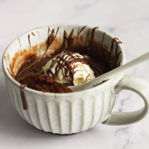 Nutella Mug Cake - no egg - Modest Munchies