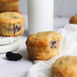 Mulberry muffins with focus on the one in the middle with a milk jug behind it.